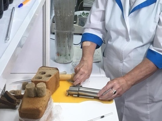 «Горячая» линия по качеству хлеба заработала в Нижегородской области