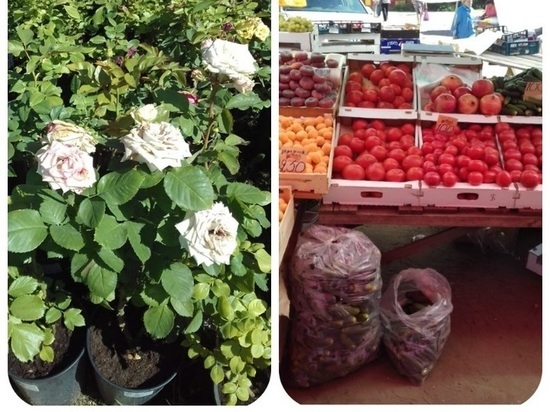 Проверка ушла с рынка в Тверской области с розами