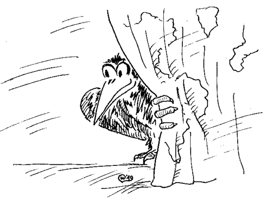 Проза жизни