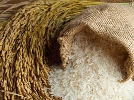 Калмыцкий минсельхоз выделяет субсидии на выращивание риса