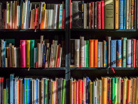 Несколько тысяч книг и журналов во владимирские библиотеки передали из столицы