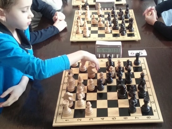 Чемпионат Ставропольского края по быстрым шахматам выиграл восьмилетка