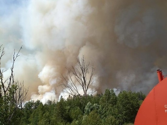 На границе Рязанской области и Мордовии бушует лесной пожар