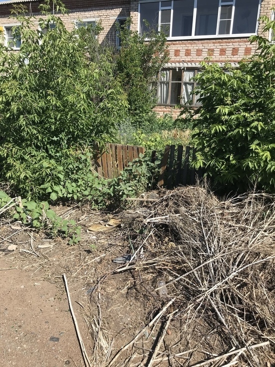 В Бузулуке уборка придомовой территории – проблема самих жителей