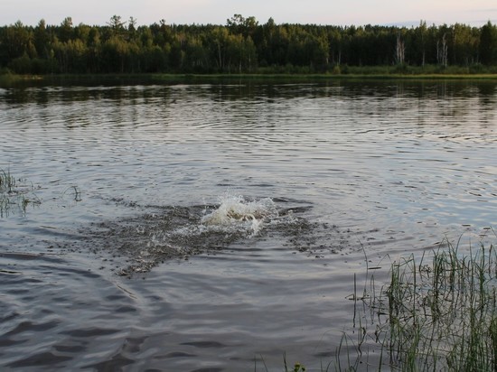 В Забайкалье заявили о кратном росте случаев гибели на воде