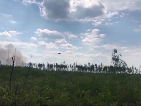 Площадь лесных пожаров в Рязанской области выросла вдвое, объявлен режим ЧС