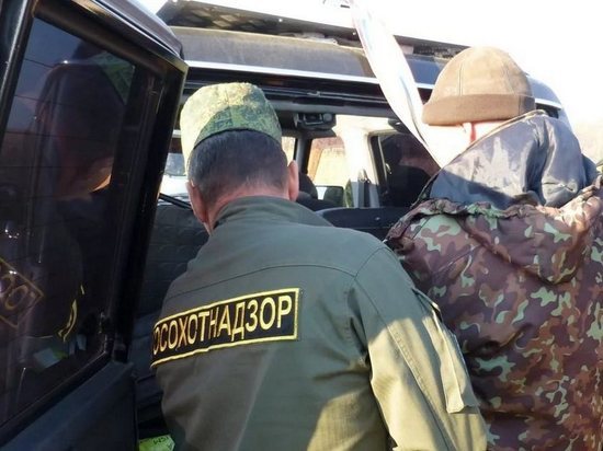 В Сасовском районе задержали браконьера, убившего лося