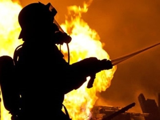 Причиной 30 пожаров в Калмыкии стала 42-градусная жара
