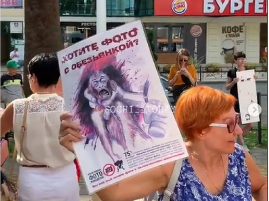 В Сочи прошёл митинг против фото с животными