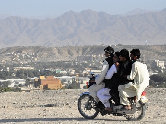 В Псковскую область за год приехало шесть человек из Афганистана