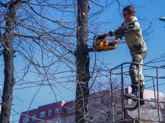 Калмыцкая столица превращается в мусоросборник