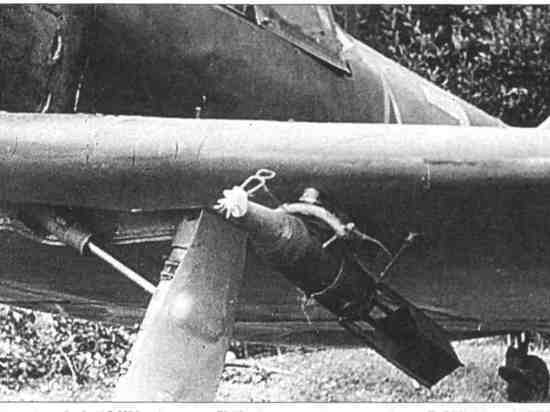 Под Зеленоградском нашли советскую авиабомбу времён ВОВ