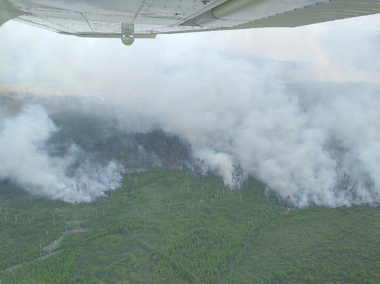 В Рыбновском районе из-за лесных пожаров сохраняется режим ЧС