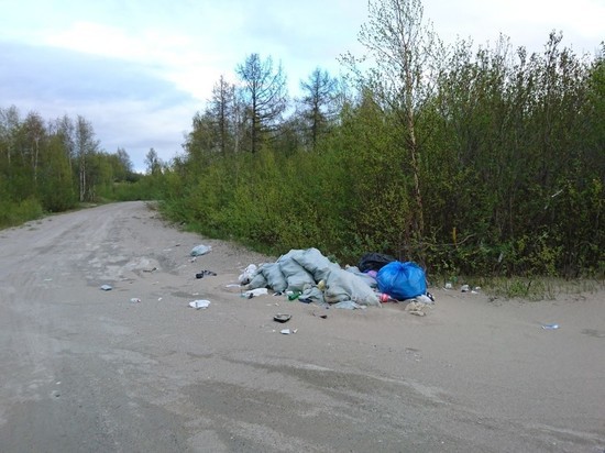 Неизвестные выбросили мешки с мусором на дорогу в Салехарде