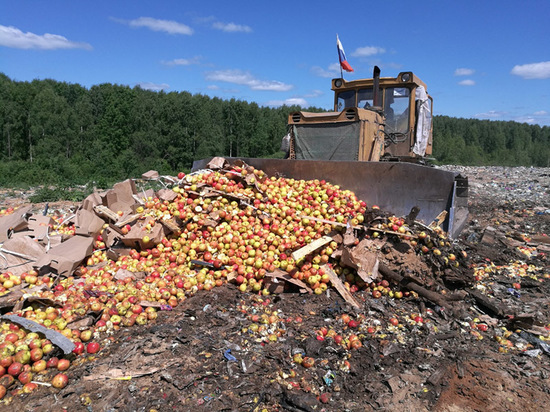 Запретные плоды раздавили бульдозерами в Тверской области