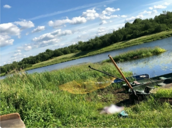 Молодой петербуржец убил пенсионера из-за места для рыбалки