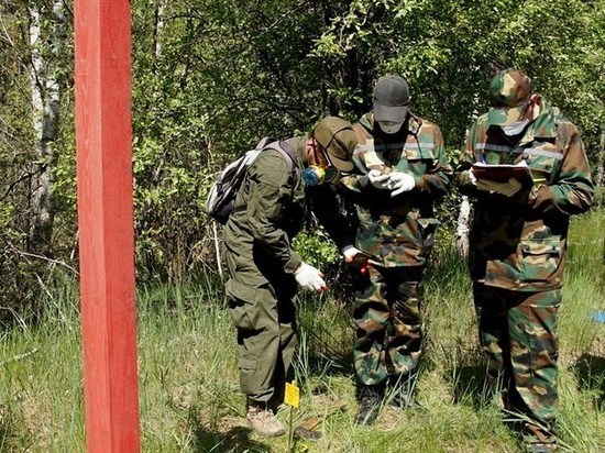 На Украине рассказали об уровне радиации вблизи Чернобыльской АЭС На Украине рассказали об уровне радиации вблизи Чернобыльской АЭС