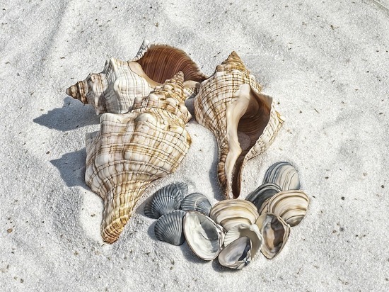 За песок с пляжа в качестве сувенира — штраф до 3000 евро