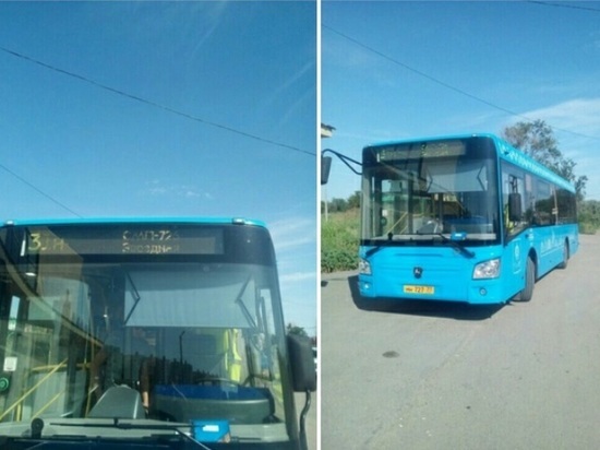 В Астрахани на линию 31 маршрута вышли автобусы