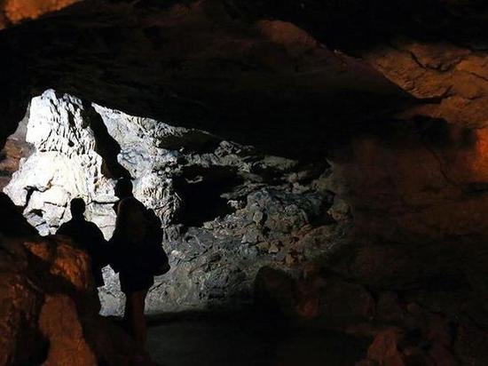 Британцы восхитились древним страусом в пещере под 