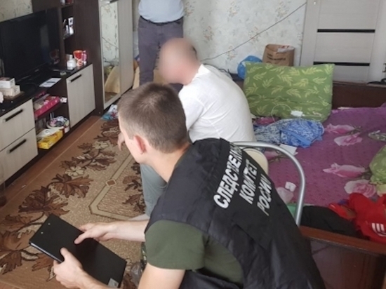 Педофил из Новомосковска прикинулся 10-летней девочкой, чтобы совратить другого ребенка