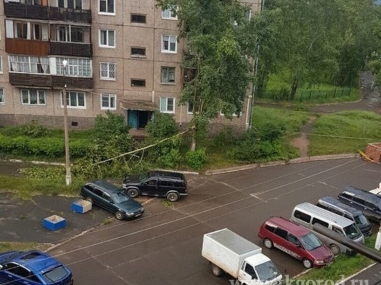 Ветер в Братске сносил деревья
