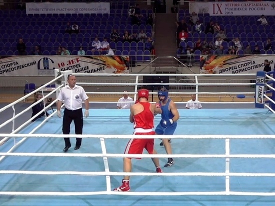 Боксёр из Мордовии одержал победу в Раменском