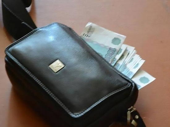 В Челябинске женщина гуляла с собакой и нашла миллион рублей возле подъезда