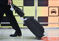 Несколько десятков пассажиров застряли в международном аэропорту «Шереметьево» из-за отказа работы системы выдачи багажа в минувшие выходные