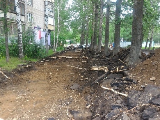 В Дзержинском районе Ярославля подрядчик воюет с зелеными насаждениями