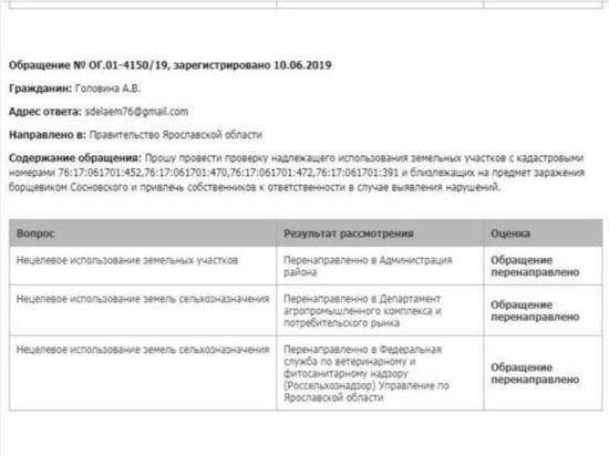 Ярославская экозащитница показала, как на деле чиновники борются с борщевиком