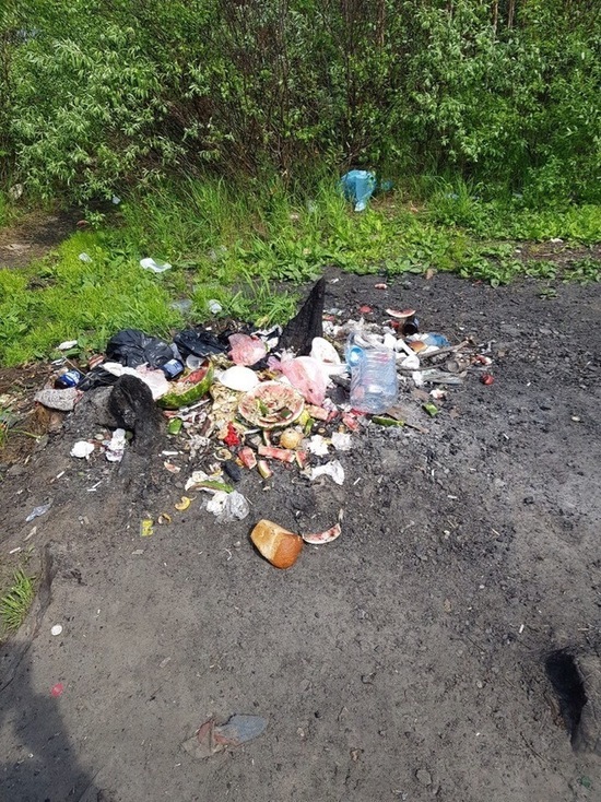 В Новом Уренгое места отдыха завалили мусором после пикников