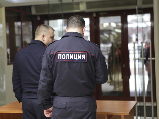 Жителя Мордовии осудили за сломанный нос полицейского