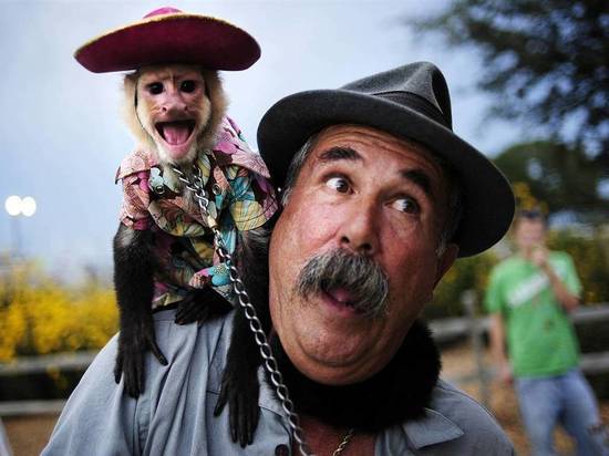 В Сочи тоже начали проверять фотографов, использующих для бизнеса животных