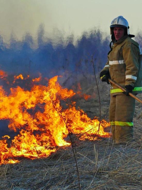 Больше шести часов тушили торфяной пожар в Ивановской области