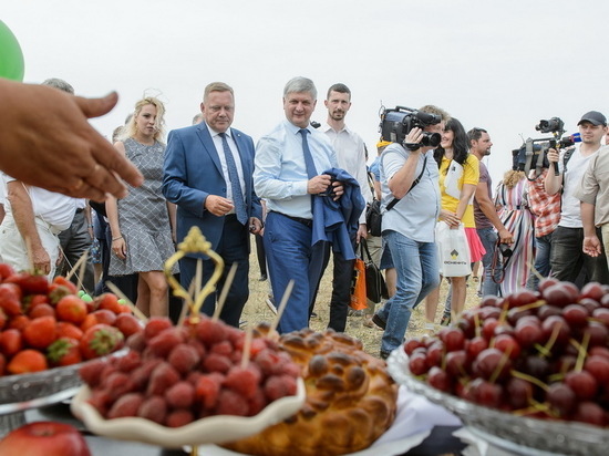 Губернатор Александр Гусев посетил выставку «День Воронежского поля»
