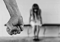 Родителей из Ленинградской области обвиняют в сексуальном насилии над собственной несовершеннолетней дочерью