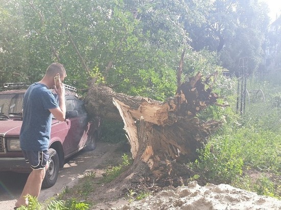 В рязанском дворе на машину упало дерево