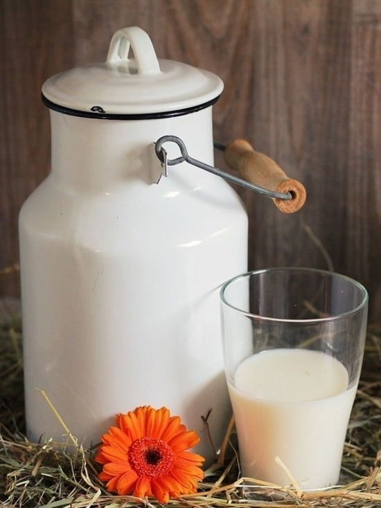 Прирост производства молока на Ставрополье составит 12,5 тыс. тонн
