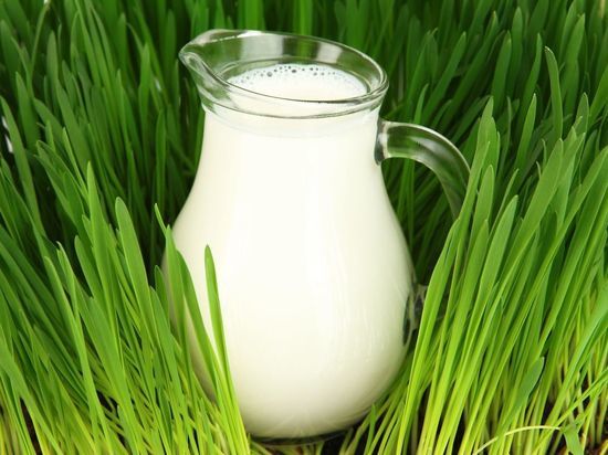 В Мордовии стали производить больше молока