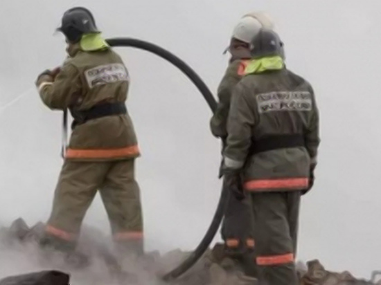 В Сафоновском районе чуть не сгорели телята и коровы