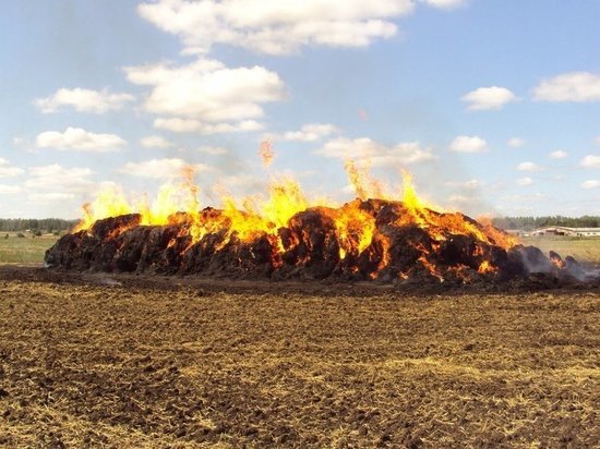 В Правдинске фермеры едва не лишились 36 тонн сена во время пожара