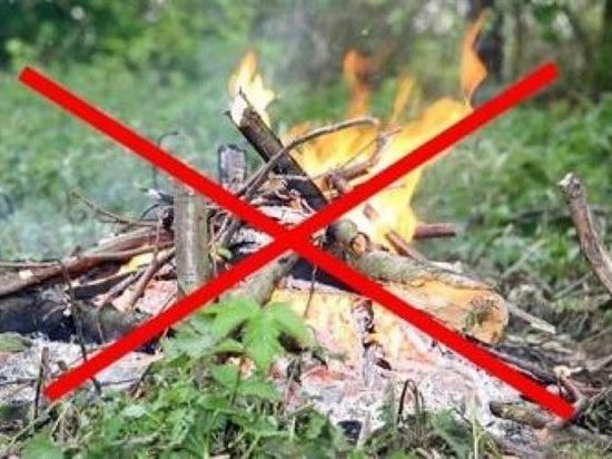 В Калмыкии объявлен особый противопожарный режим В Калмыкии объявлен особый противопожарный режим