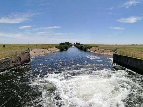Волгоградские экологи контролируют обводнение Волго-Ахтубинской поймы