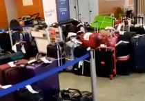 В Министерстве транспорта ожидают, что ситуация с обработкой багажа в аэропорту Шереметьево будет нормализована до 15 августа