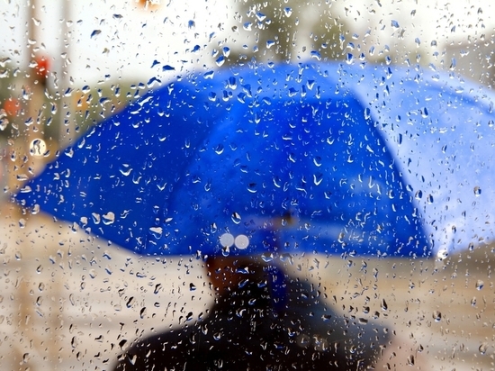 В Воронеже на рабочей неделе ожидается дождливая и прохладная погода