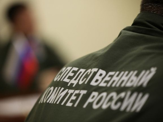 В Новочебоксарске раскрыли двойное убийство и задержали подозреваемого