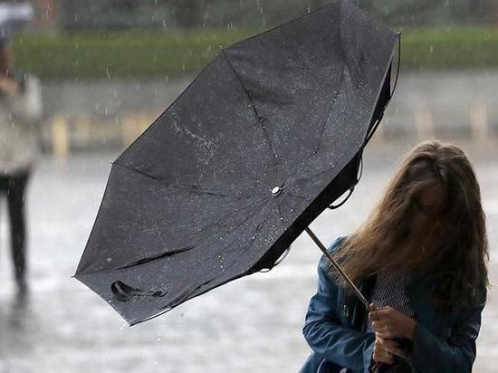 Дожди, грозы и сильный ветер ожидаются в Чувашии 9 июля