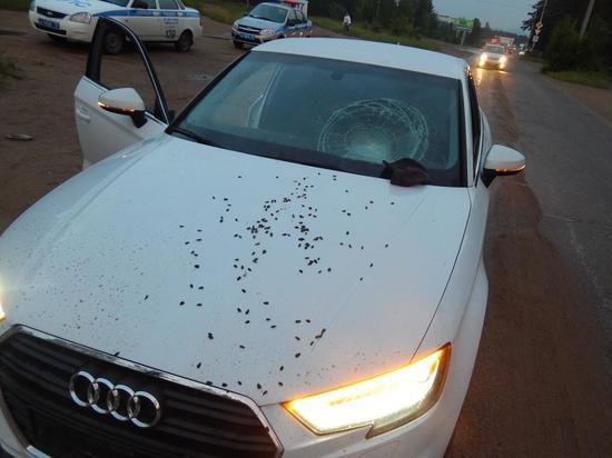 Тяжёлые травмы получил сбитый Audi пешеход в Чите