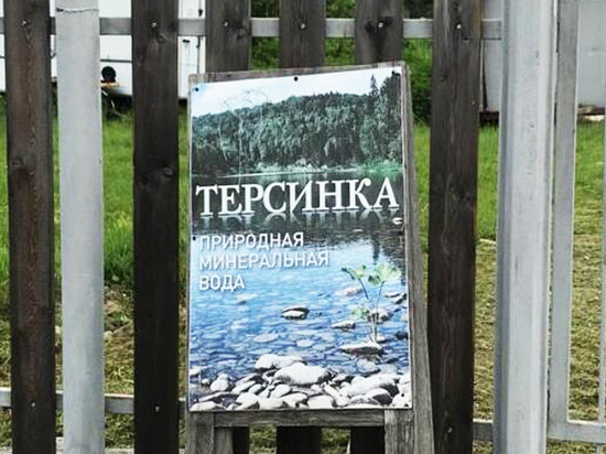 Чиновники сообщили, что Кузбасс не останется без "Терсинки"